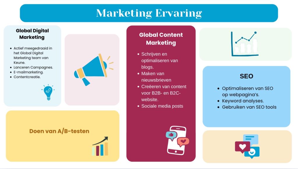 Infographic Marketing Ervaring